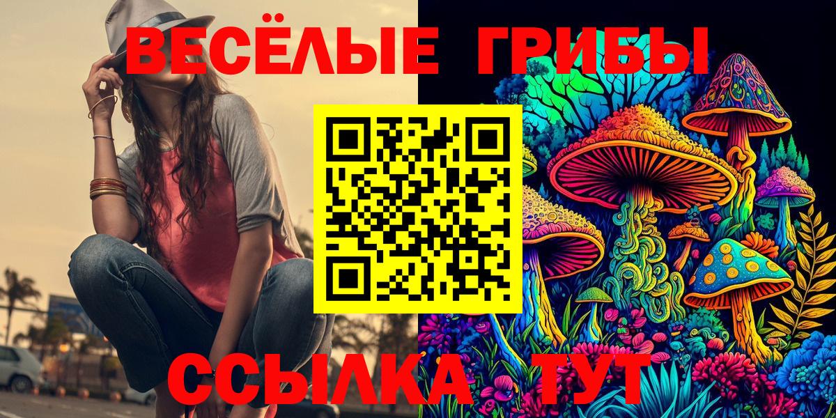 Ирбит  Псилоцибиновые грибы Psilocybine cubensis  Вход с VPN 